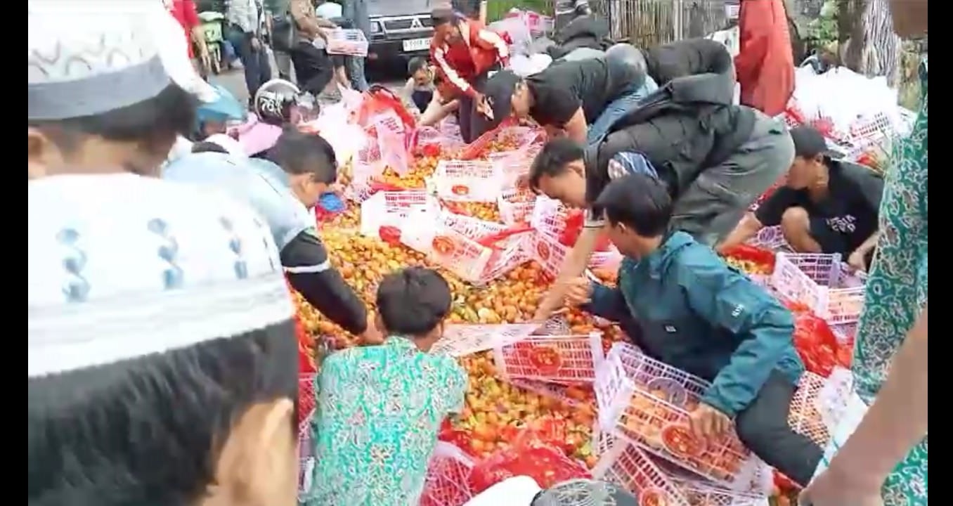 Truk Tabrak Pikap, Warga Berebut Jeruk di Jalan Raya Puncak