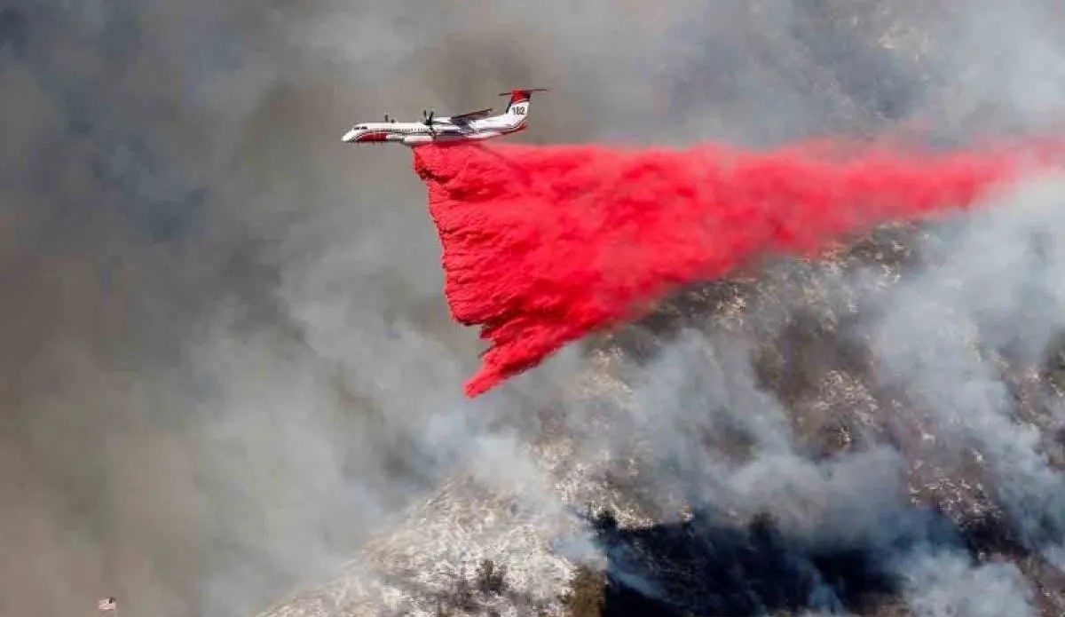 Korban Tewas Akibat Kebakaran Hutan Los Angeles jadi 13 Orang