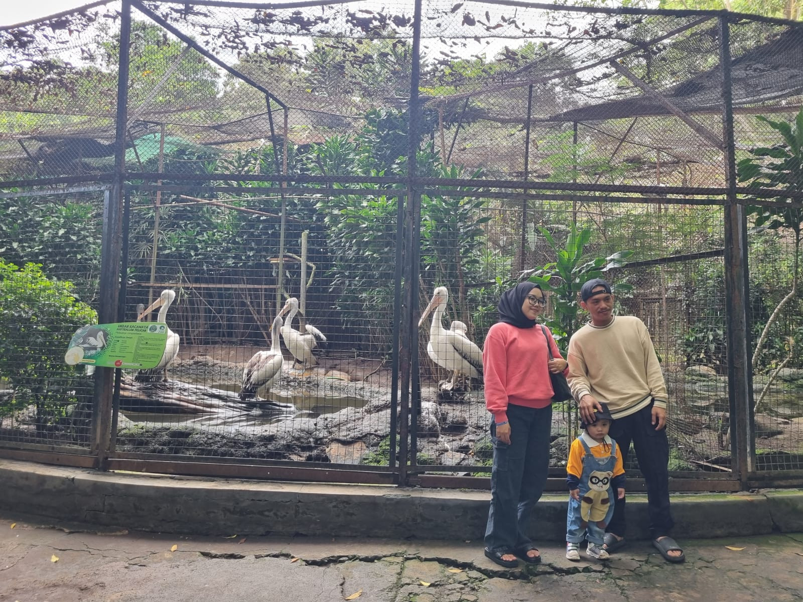 Libur Lebaran 2024, Pengunjung Bandung Zoo Menurun