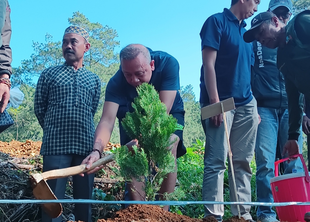Komitmen Lestarikan Lingkungan, NasDem Tanam 2.000 Bibit Pohon di Ciloto Cianjur 