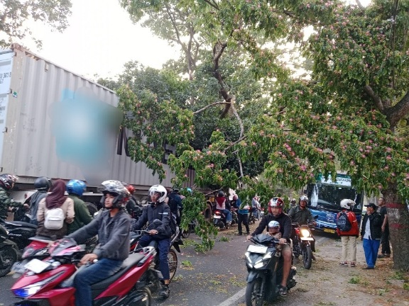 Truk Kontainer Tabrak Pohon di Cianjur, Lalu Lintas Macet 1,5 Jam