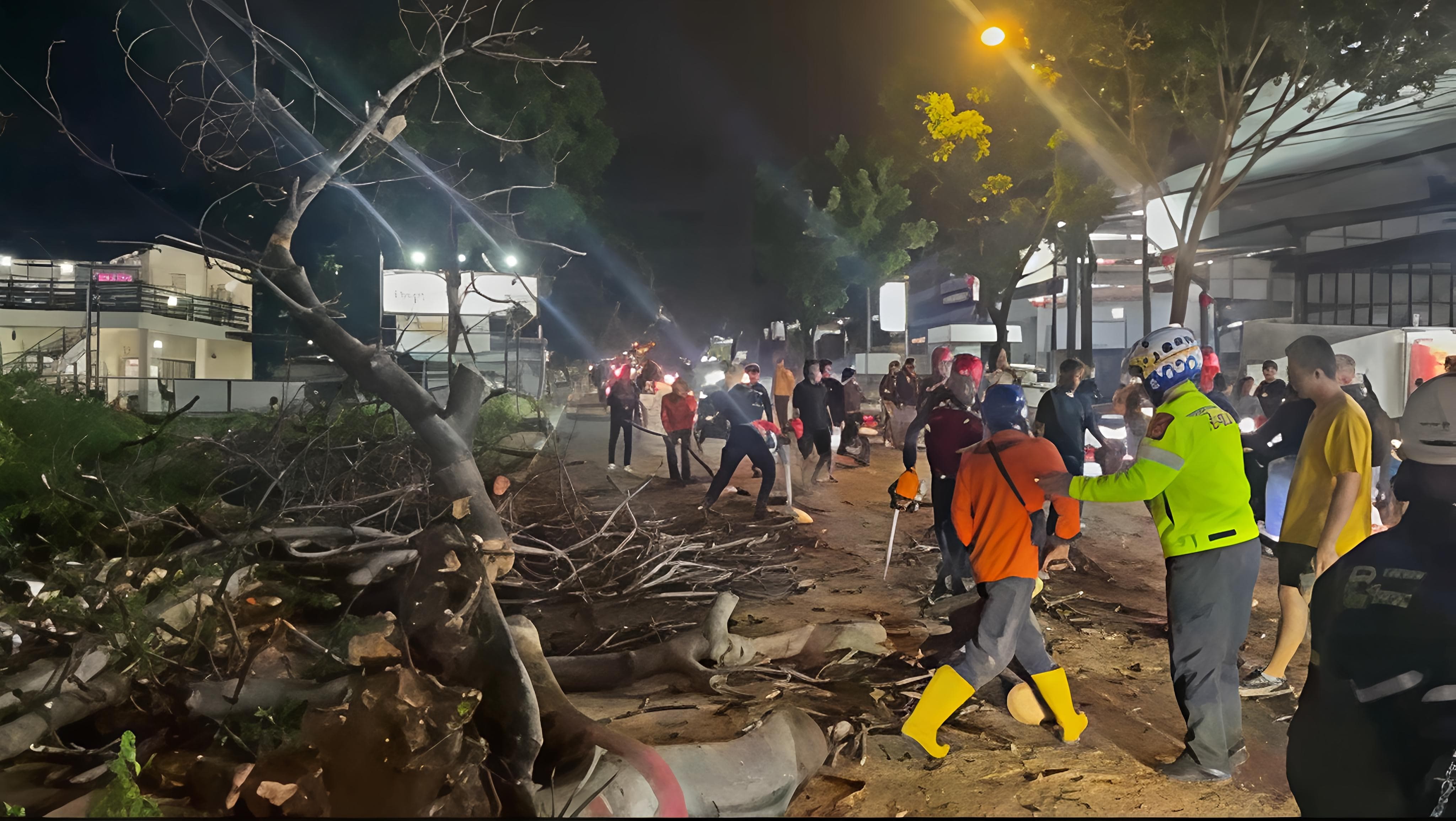 Pohon Tumbang Timpa Dua Motor di Jalan Raya Bandung Cianjur