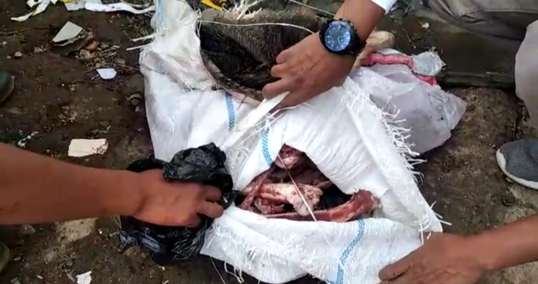 Ditemukan Ditumpukan Sampah, Potongan Kulit, Tulang dan Kepala Babi di Cipanas Cianjur