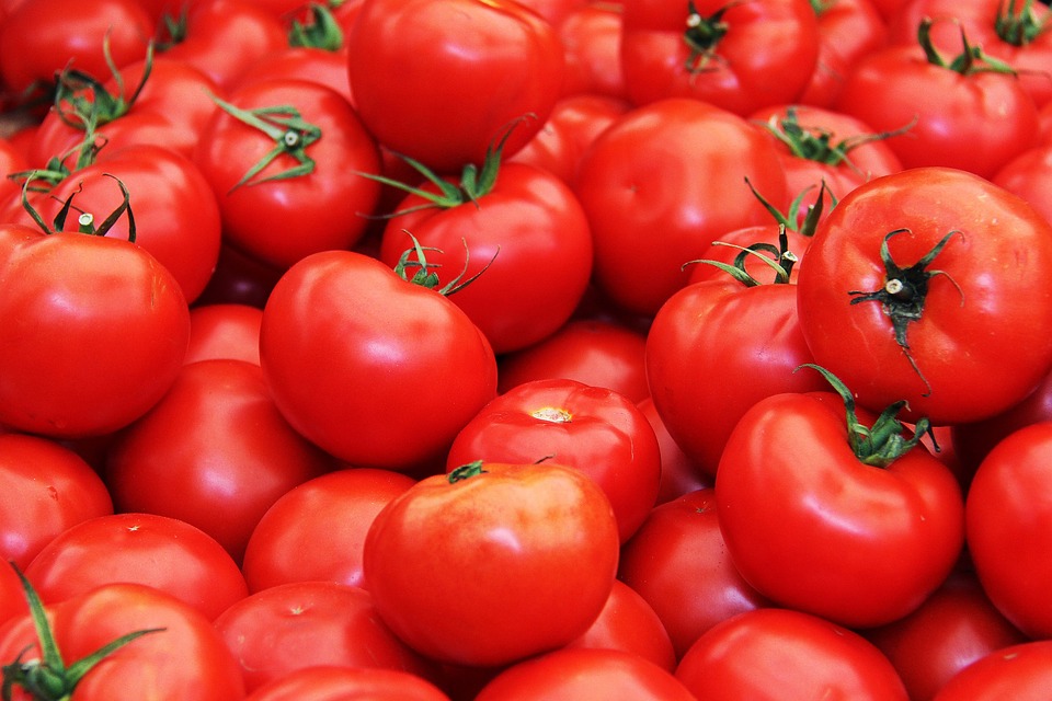 7 Manfaat Tomat Untuk Kecantikan