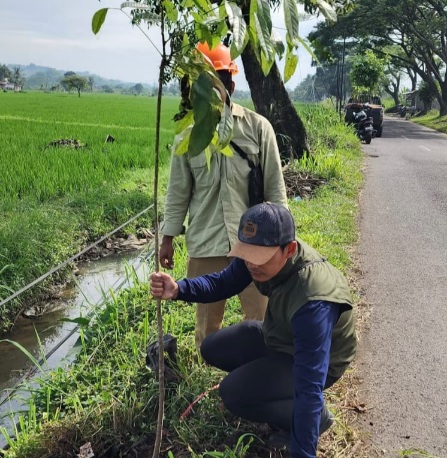 Cegah Longsor dan Banjir, DLH Cianjur Gencarkan Penanaman Pohon