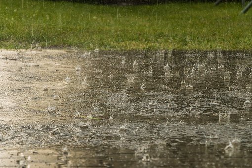 Waspada, Ini Jenis Penyakit yang Biasa Muncul Saat Musim Hujan