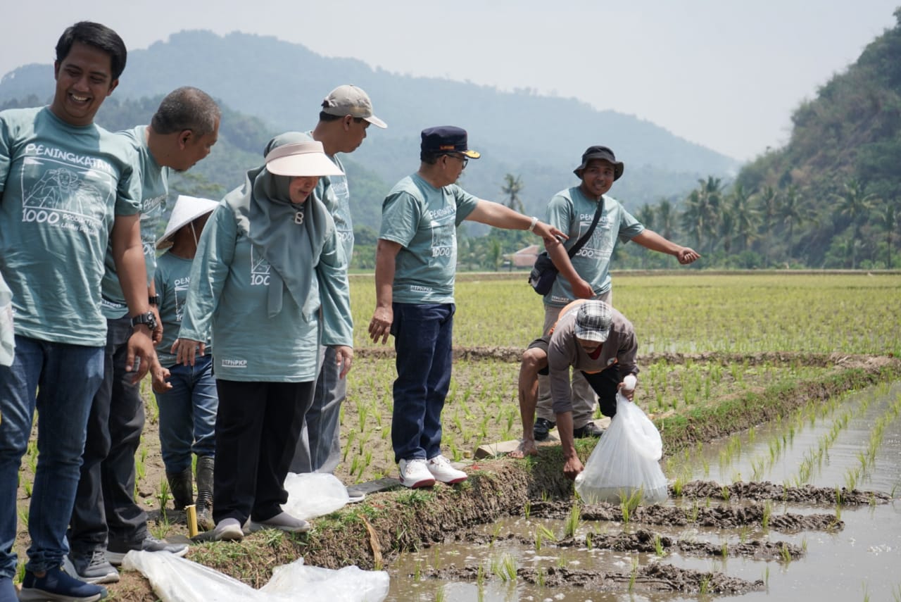 Jurus Jitu Bupati Herman Tingkatkan Produktivitas Lahan Pertanian, Bantuan Bagi Petani hingga Metode Mina Padi