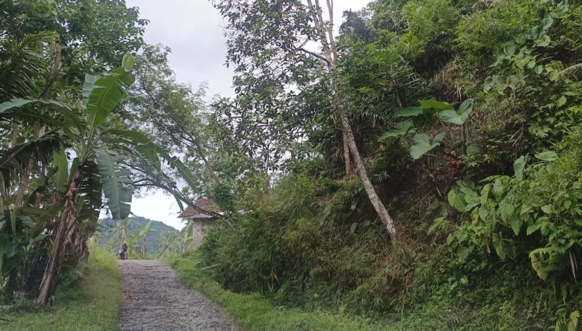 Perbaikan Jalan dan Jembatan Gantung Cikadu Cianjur Diperkirakan Telan Anggaran Rp14 Miliar