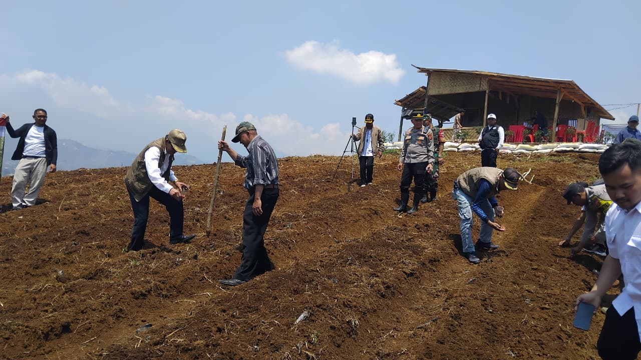 Dukung Ketahanan Pangan, Polsek Pacet Bersama Warga Tanam Bibit Jagung Hibrida