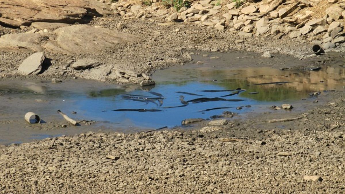 BPBD: Wilayah Cianjur Masuki Musim Kemarau pada April 2026