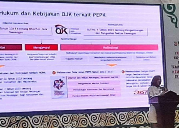 OJK Edukasi UMKM Tingkatkan Akses Lembaga Keuangan 