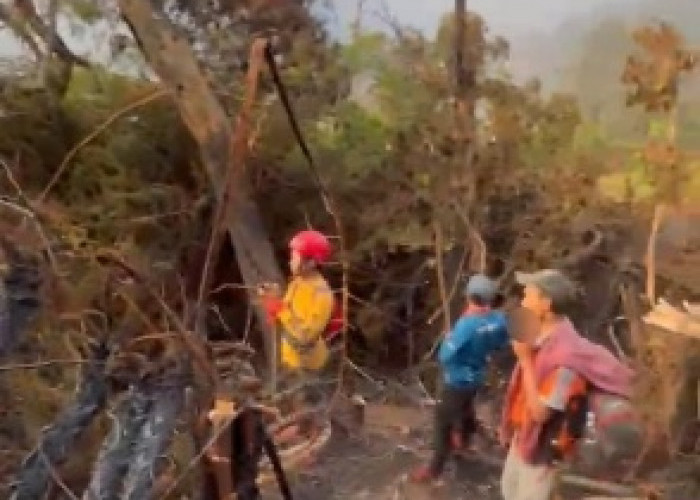 Relawan Gunung Gede Galang Donasi untuk Peralatan dan Logistik