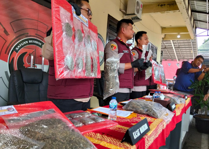 Polres Cianjur Gagalkan Peredaran 15 Kg Ganja, Dua Terduga Pengedar Dibekuk