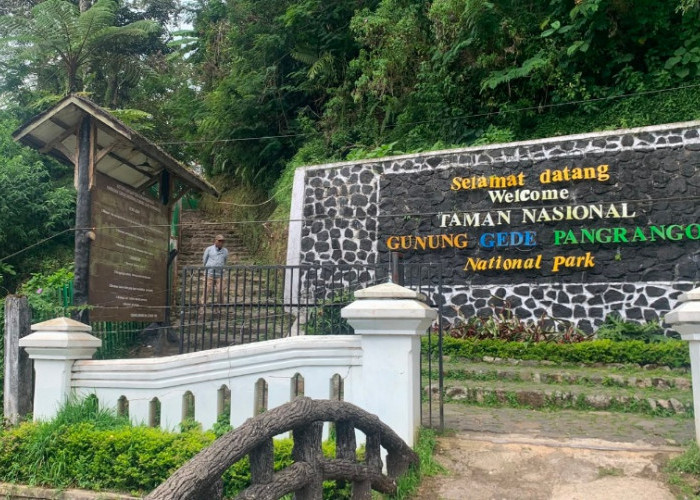 Pasca Kebakaran, Jalur Pendakian Gunung Gede-Pangrango Masih Ditutup