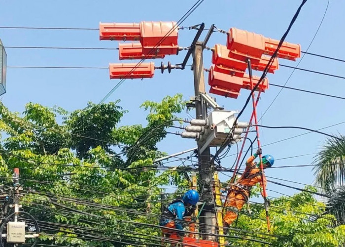 PLN UP3 Cianjur Imbau Masyarakat Jaga Jarak Aman dari Jaringan Listrik