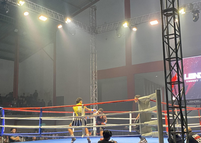 100 Atlet Ramaikan Leindel Combat Sport Vol 2, Perebutkan Empat Sabuk Juara
