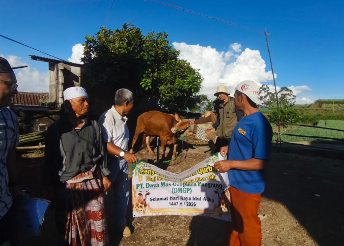 Tiga Desa di Pacet Cianjur Terima Bantuan Sapi Kurban dari Perusahaan