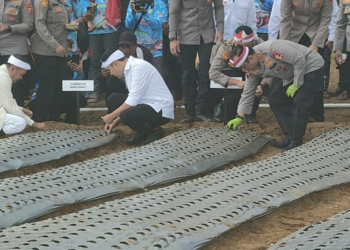 Bukan Sekadar Swasembada, Bupati Cianjur Ingin Kota Santri Jadi Pemasok Bawang Putih