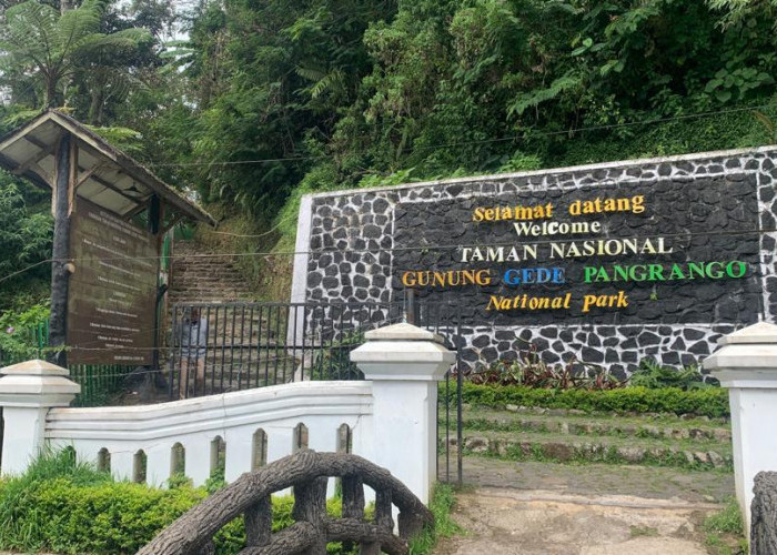 Pendakian Gunung Gede Pangrango Kembali Dibuka Setelah 3,5 Bulan Ditutup