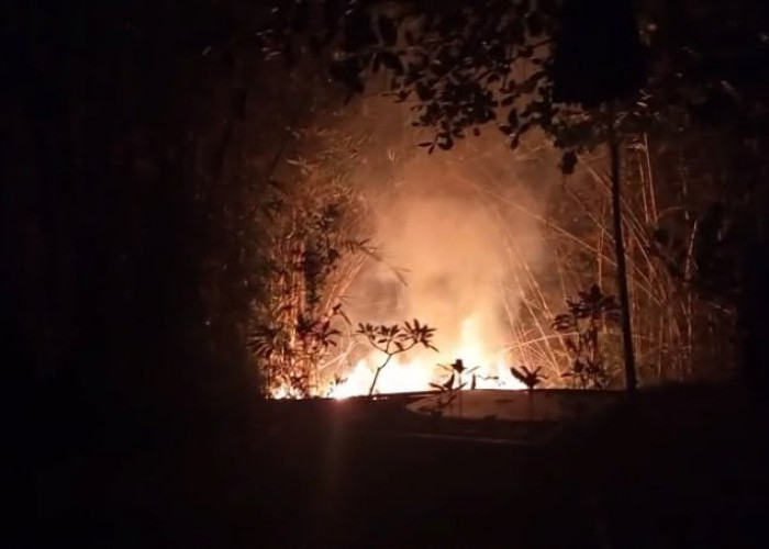 Karhutla Terjadi di Ciranjang Cianjur, BPBD Ingatkan Bahaya Pembakaran Lahan