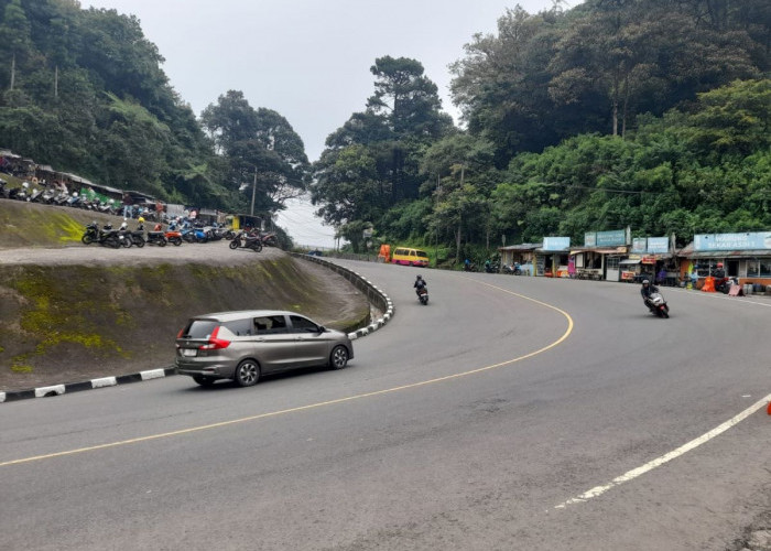 Pengendara Diimbau Waspada Tanah Longsor dan Pohon Tumbang di Kawasan Puncak