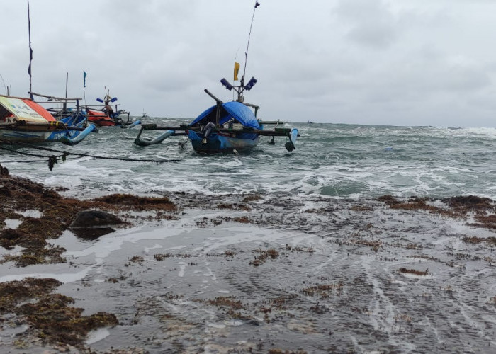 Cuaca Buruk, Tangkapan Ikan Nelayan Pantai Selatan Cianjur Minim, Semalam Cuma Segini!