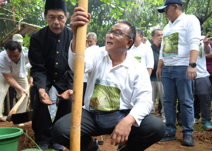 Menteri LH Serukan Tobat Ekologis dan Penanaman 2 Miliar Pohon Bambu