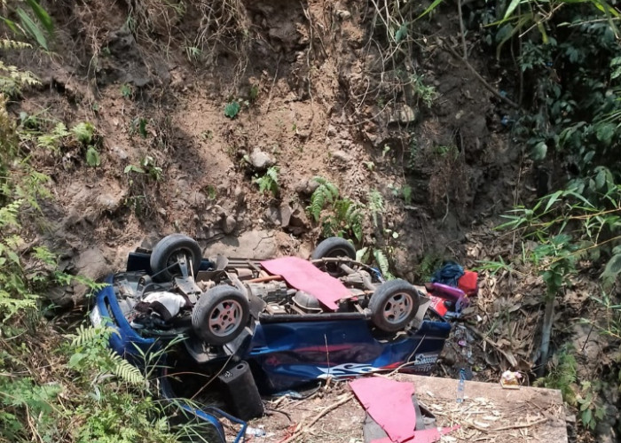 Bawa 8 Penumpang, Mobil Rombongan Pengantin Terperosok ke Jurang di Cianjur