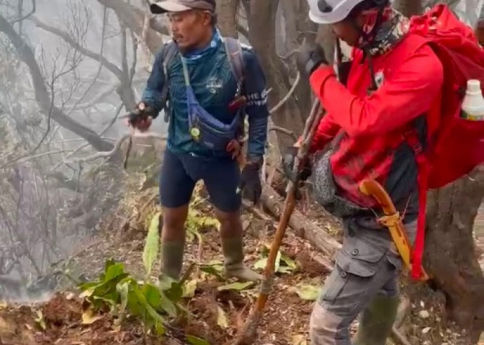 Cerita Relawan Bikin Parit hingga Turun Lereng untuk Padamkan Api di Gunung Gede