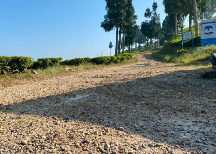 Dinas PUTR Cianjur Sebut Ruas Jalan Padasuka-Cireundeu Digarap Bertahap