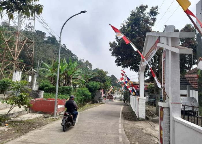 Minim Penerangan, Desa Kubang Cianjur Butuh 50 Lampu PJU 
