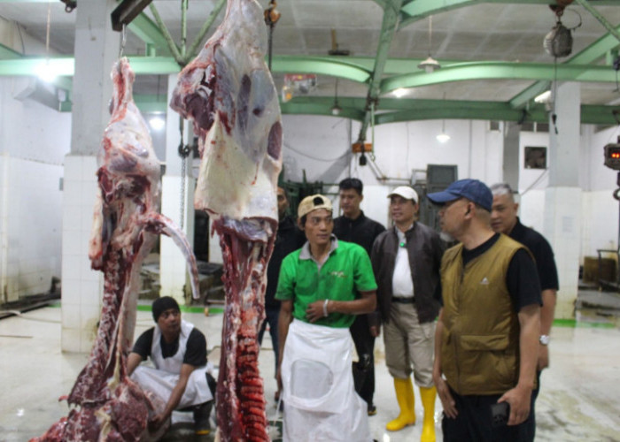 Gencarkan Sidak, Kementan Pastikan Pasokan Aman dan Harga Daging, Ayam, serta Telur Stabil Selama Ramadan