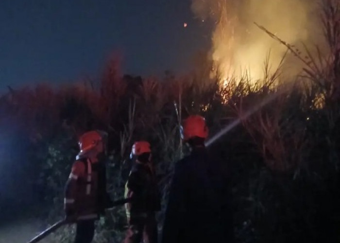 Dua Bulan, Karhutla Terjang 13 Kecamatan di Cianjur