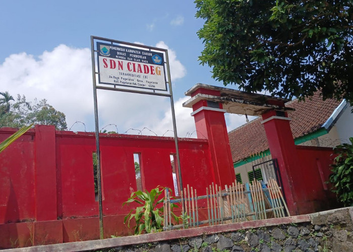 Belasan Siswa SD di Pagelaran Cianjur Diduga Keracunan, Usai Konsumsi MBG dan Jajanan Es