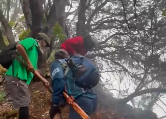 Puluhan Relawan Berdatangan, Kebakaran Kawah Wadon Gunung Gede Capai 15 Hektare