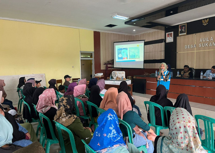 PLN UID Jabar Imbau Warga Jaga Jarak Aman Dekorasi dari Jaringan Listrik