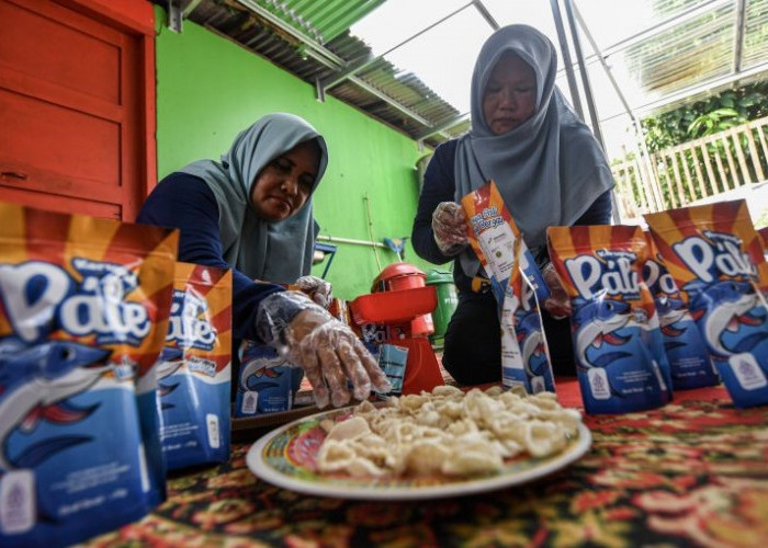 Pengamat Nilai Hapus Tagih UMKM Perlu Aturan Turunan