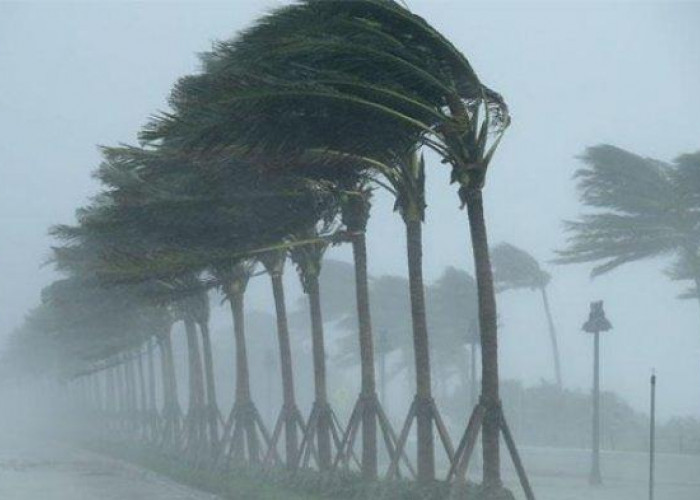 Waspada! Hujan Deras dan Angin Kencang Terjang Cianjur Beberapa Hari Kedepan