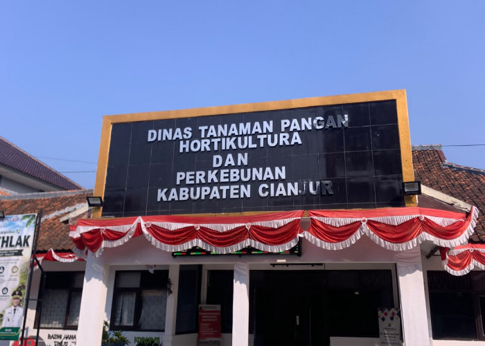 960 Hektare Sawah Cianjur Terancam Kekeringan, DTPHP Bangun 15 Irigasi Perpompaan