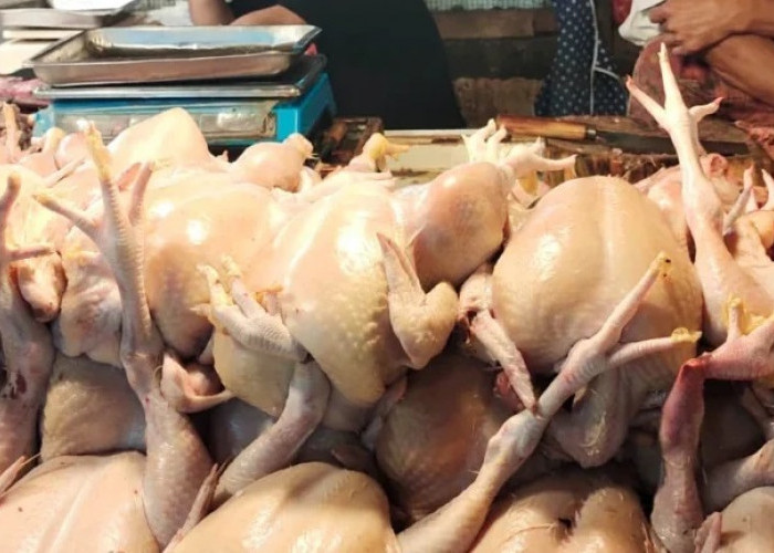 Jelang Puasa, Diskumindag Cianjur Sebut Harga Daging Sapi dan Ayam Naik, Beras Turun