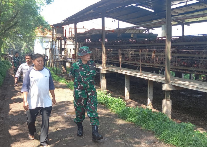 Satgas Citarum Harum Sidak Peternakan Ayam di Cikalongkulon Cianjur
