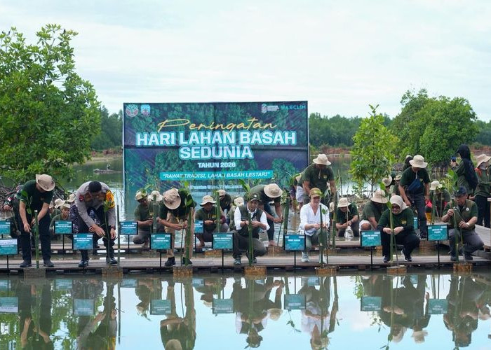 Menhut Tekankan Peran Mangrove bagi Ekologi dan Ekonomi Pesisir