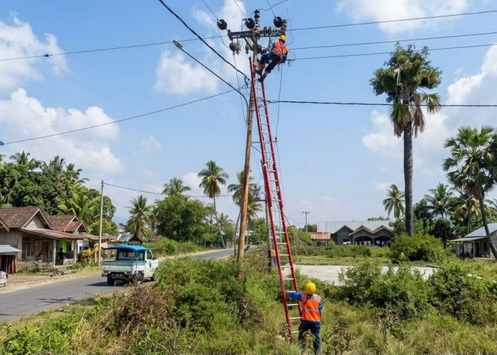 Dirut PLN Kawal Langsung Kelistrikan Nasional Jelang HUT ke-81 Kemerdekaan RI dari Posko NTT