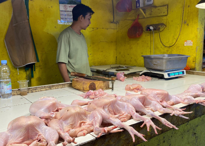 Pasokan Terbatas, Harga Ayam di Cianjur Naik hingga Rp45 Ribu per Kilogram
