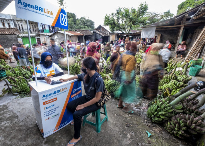 Dirgahayu RI ke-79, Berikut Sederet Kontribusi BRI Untuk Negeri