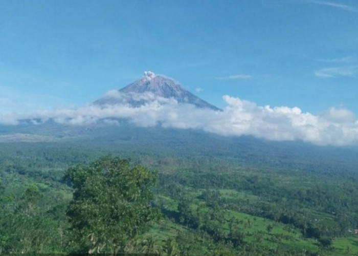 Gunung Semeru Tiga Kali Erupsi dengan Letusan Hingga 600 meter