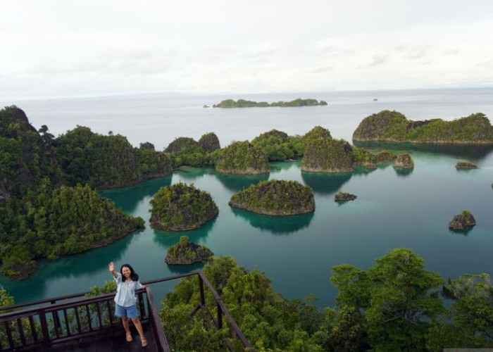 MITI Minta Pemerintah Tindak Tegas Tambang Nikel yang Rusak Raja Ampat