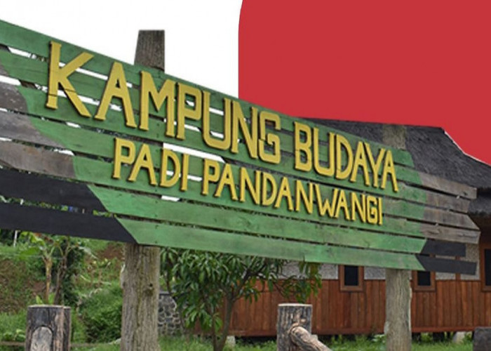 Disbudpar Cianjur Sebut Kunjungan Wisatawan ke Kampung Budaya Padi Pandanwangi Sepi