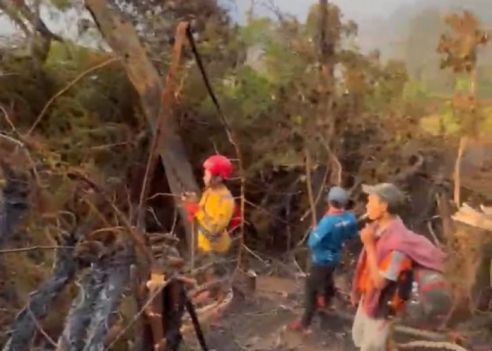 Relawan Ungkap Luas Kebakaran Gunung Gede