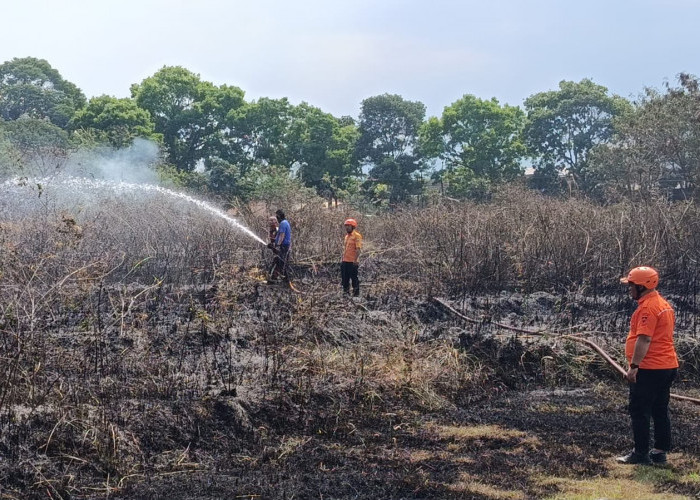 Lima Titik Karhutla Muncul Bersamaan di Cianjur, Penyebab Masih Diselidiki